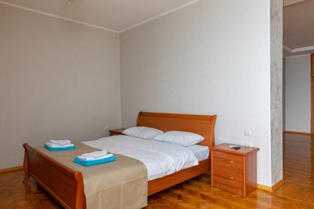 Апартаменты 2-местный 1-комнатный Президентский (корпус Лазурный)